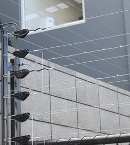 Electric Fence Security Malaysia